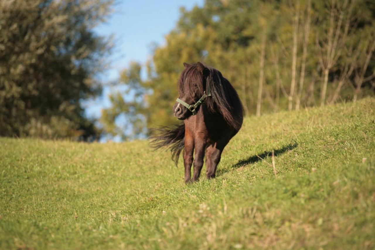 Ferienhof Muehlthal Edling Eksteriør bilde